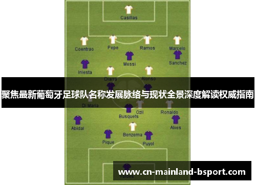 聚焦最新葡萄牙足球队名称发展脉络与现状全景深度解读权威指南