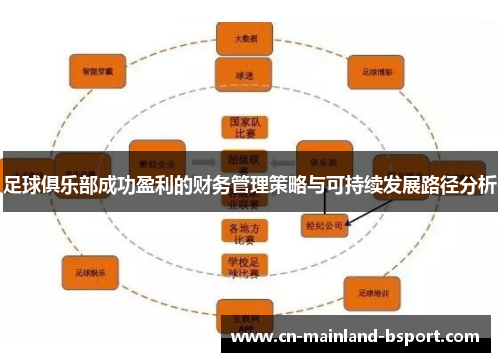 足球俱乐部成功盈利的财务管理策略与可持续发展路径分析