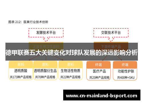德甲联赛五大关键变化对球队发展的深远影响分析