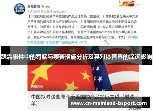 魏震事件中的罚款与禁赛措施分析及其对体育界的深远影响